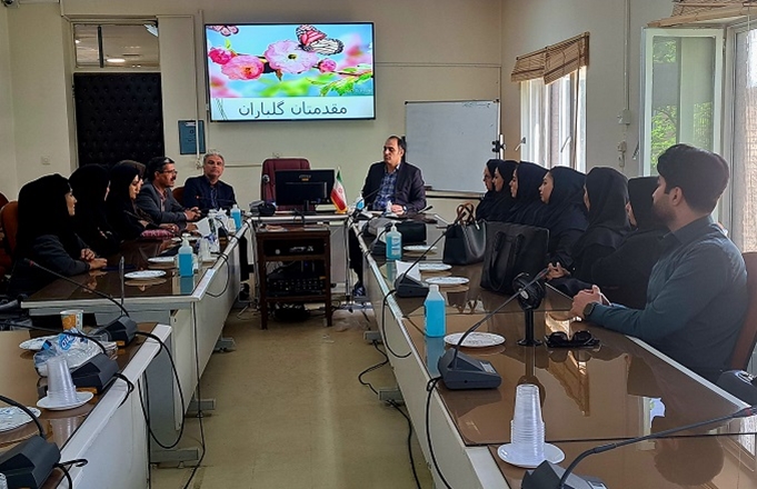 جذب کارشناسان سلامت روان از مهمترین دستاوردهای طرح تحول نظام سلامت